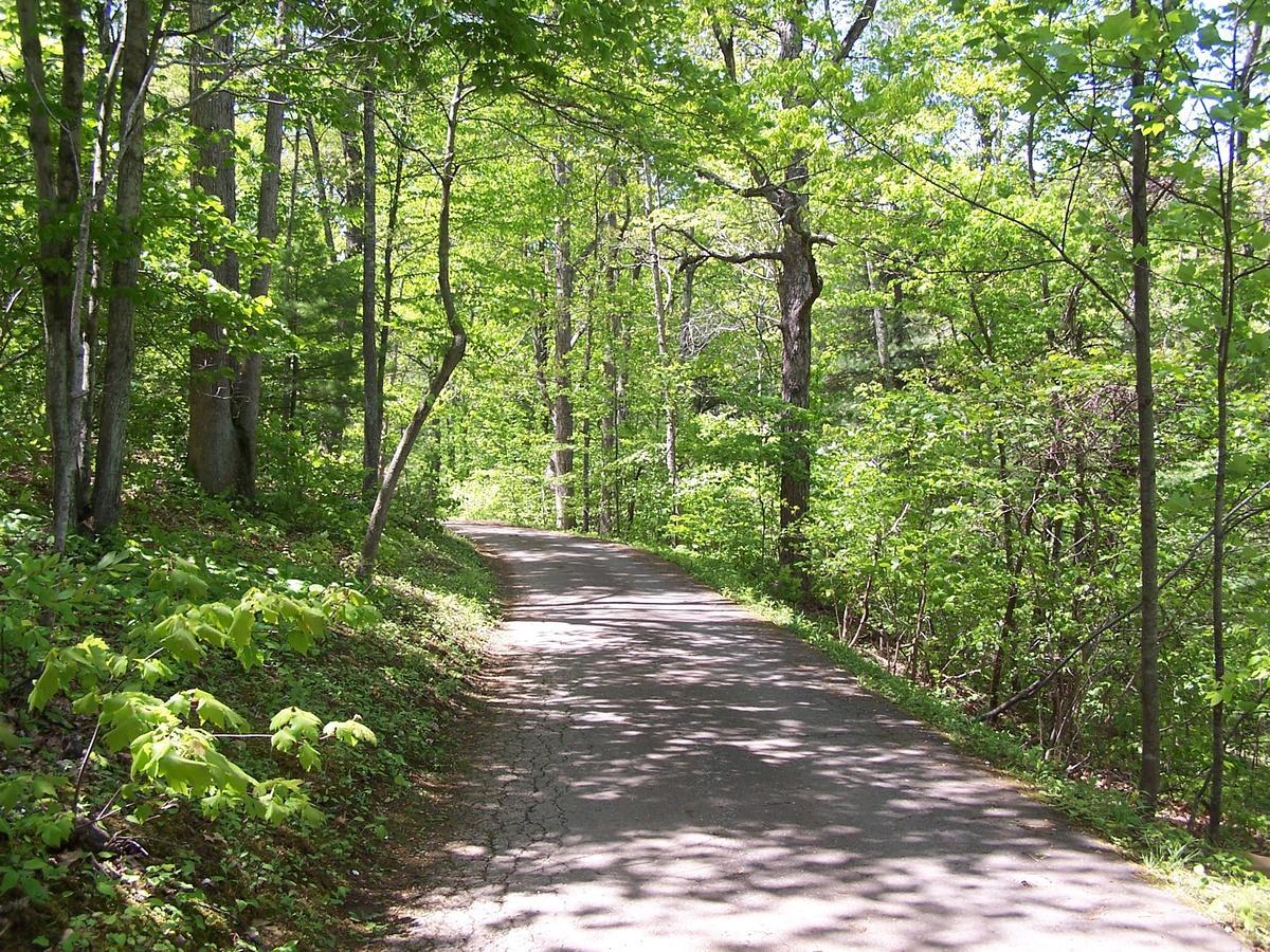 Cabin Creekwood Lyndhurst 외부 사진
